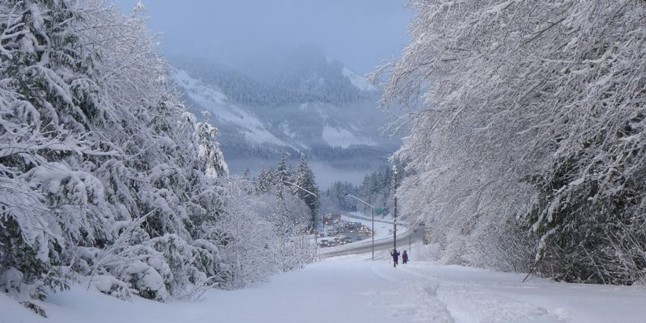 What is the attraction to Snowshoeing?