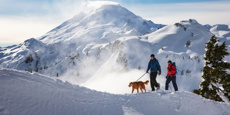Is snowshoeing good exercise? Crescent Moon Snowshoes