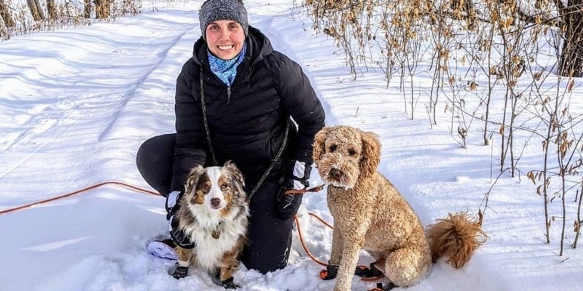 Snowshoeing With Your Dog Crescent Moon Snowshoes