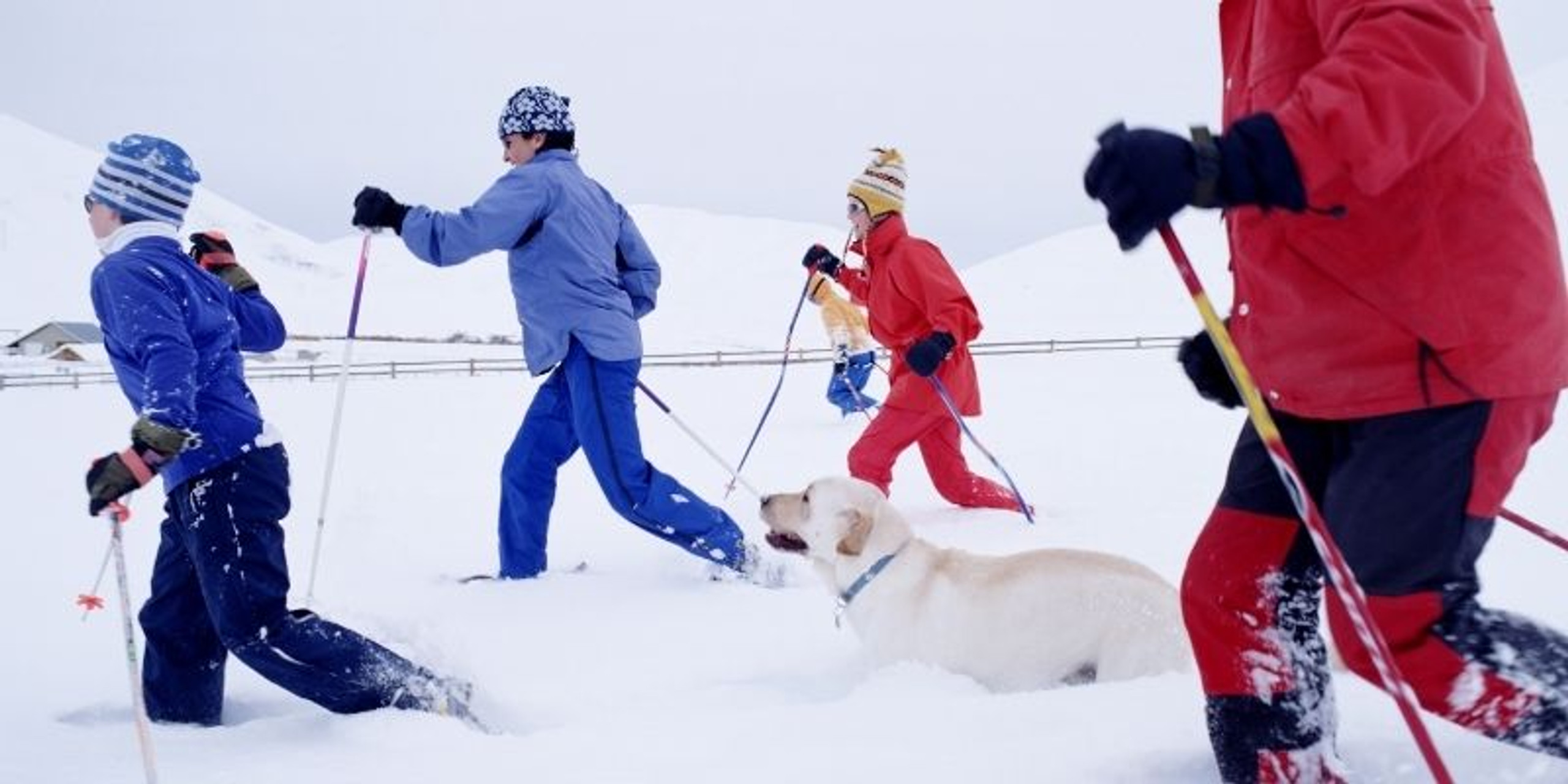 How Do Snowshoes Keep You From Sinking? Crescent Moon Snowshoes