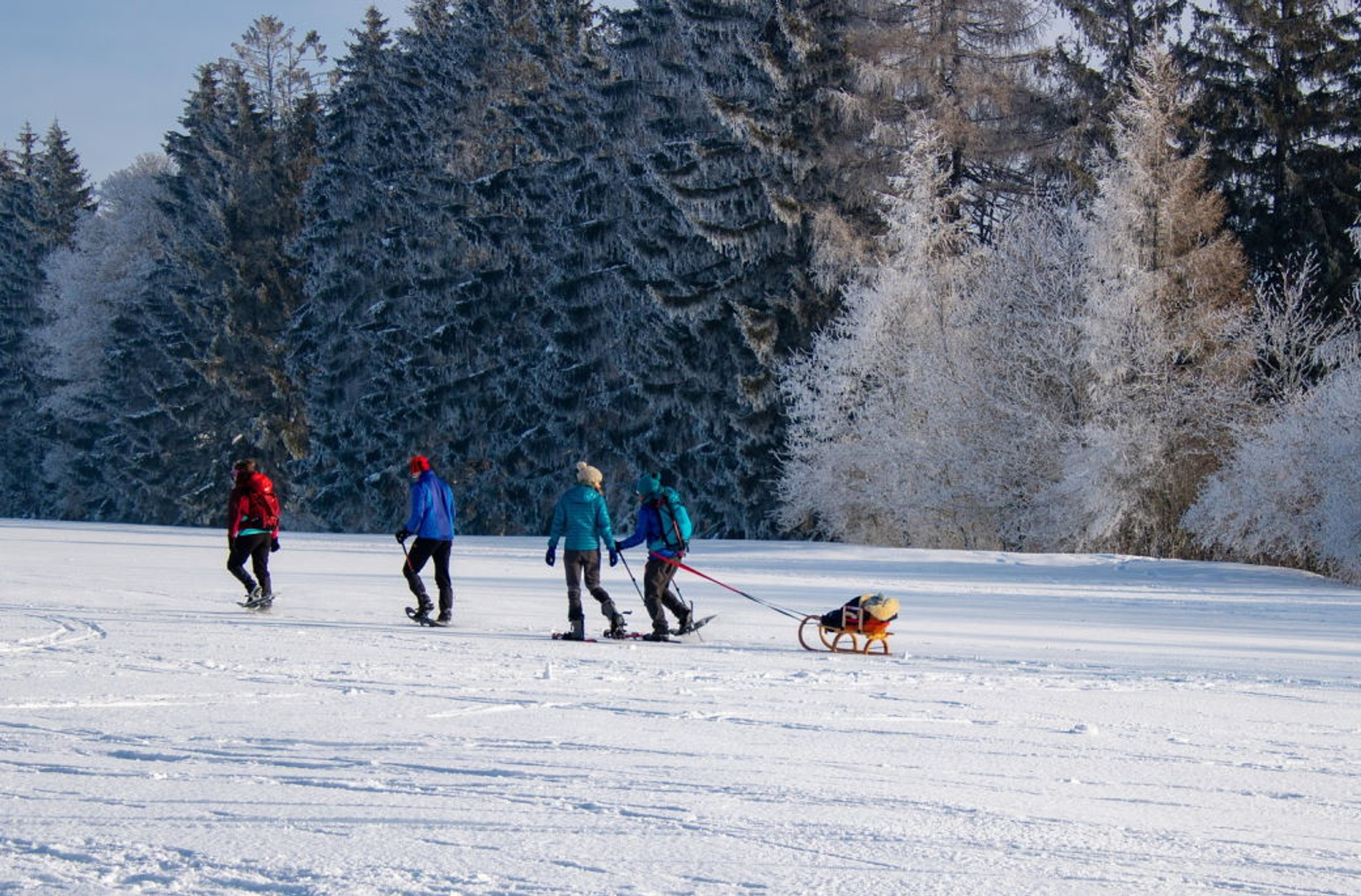 kids-snowshoe-sizing-guide-crescent-moon-snowshoes