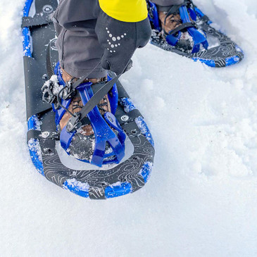 Close-up of adult snowshoe with blue frame and binding securely fastened on boot, trekking in snow