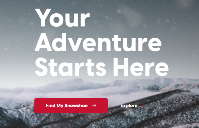 Find my Snowshoe