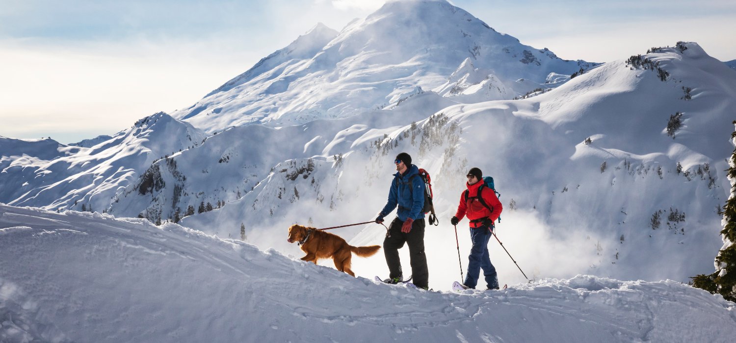 Where to Snowshoe with Your Dog Near Denver Colorado Crescent Moon