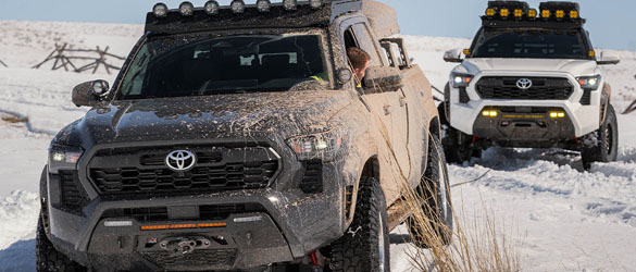 zaza coyote wheels 65mm 84a ダウンヒル フリーライド zaza coyote wheels 65mm 84a ダウンヒル フリーライド - メルカリ