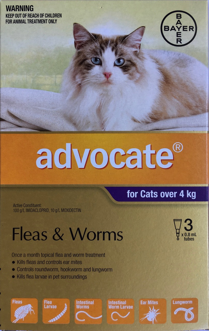 Advocate Spot-On for Large Cats (4kg+) – Complete Parasite Control
