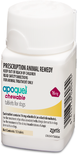 Apoquel Chewable 16mg Per Tablet (or for 100+)