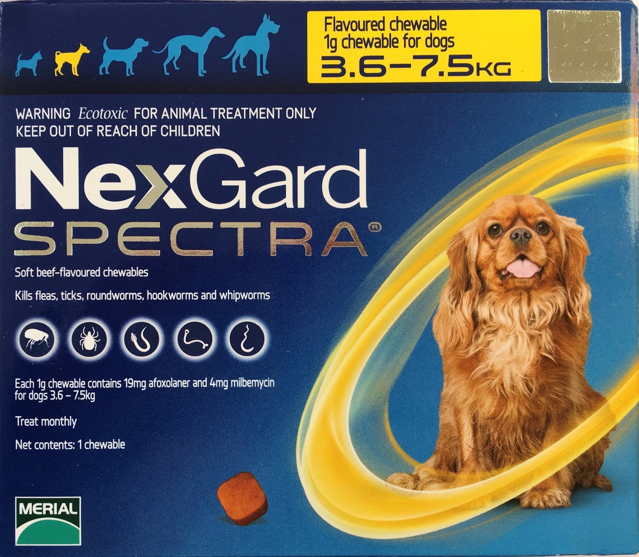 NexGard Spectra Tablets For Small Dogs Single - Main Image
