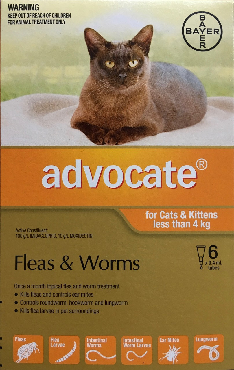 Advocate Spot-On for Small Cats (0–4kg) – Flea Worm Combo