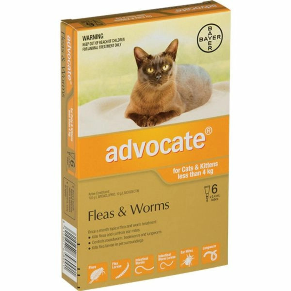 Advocate Spot-On for Small Cats (0–4kg) – Flea Worm Combo