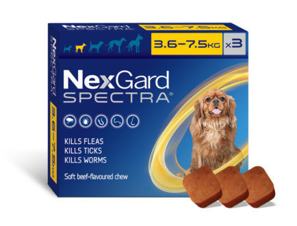 Nexgard Seresto Bravecto NexGard For Dogs Chewables To 10 Lbs, 3pk