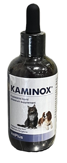 Oral Liquid Methimazole Liquid For Cats METHIMAZOLE COMPOUNDED