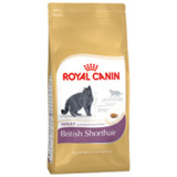 Royal Canin - British Short Hair Adult