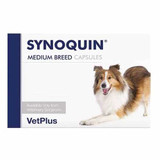 Synoquin EFA for Medium Dogs Capsules