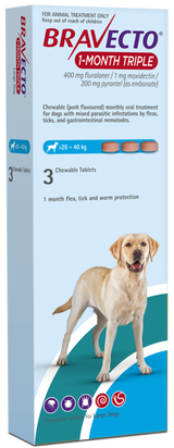 Bravecto 1-Month Triple Large 3 Pack for Dogs 20–40 kg