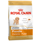 Royal Canin - Poodle Junior