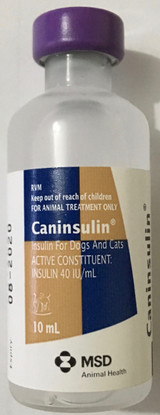 Caninsulin 40iu/ml - 10ml vial