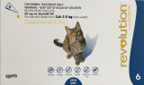 Revolution for Cats 2.6-7.5 kg – 6 Pack