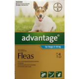 Advantage for Medium Dogs 4-10kg - 4 Pack