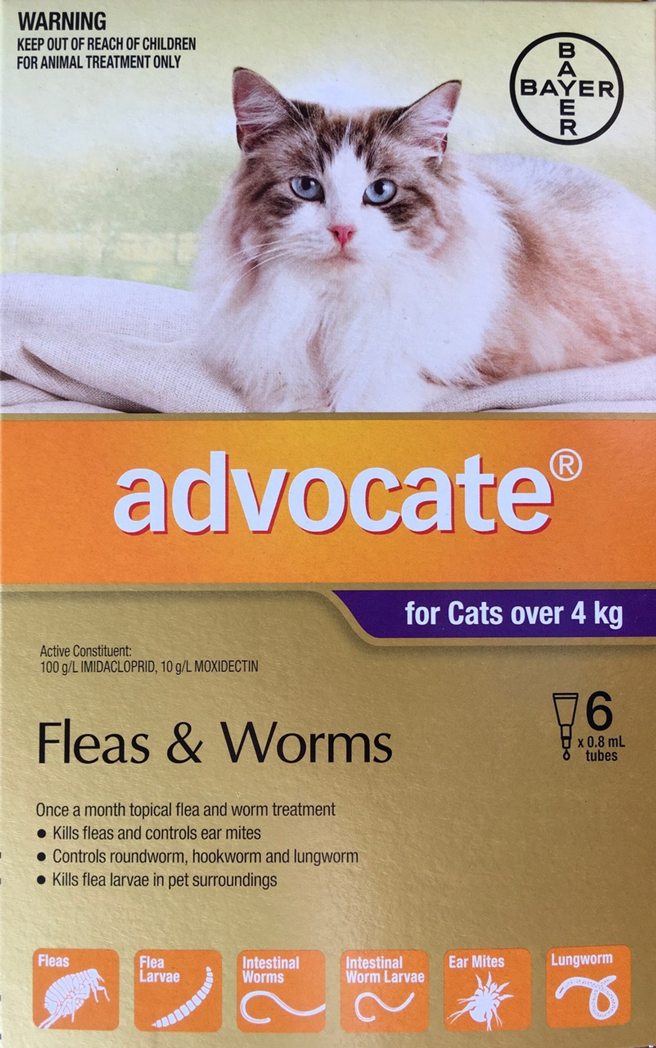 cheapest advocate for cats