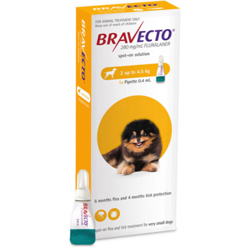 bravecto pharmacy