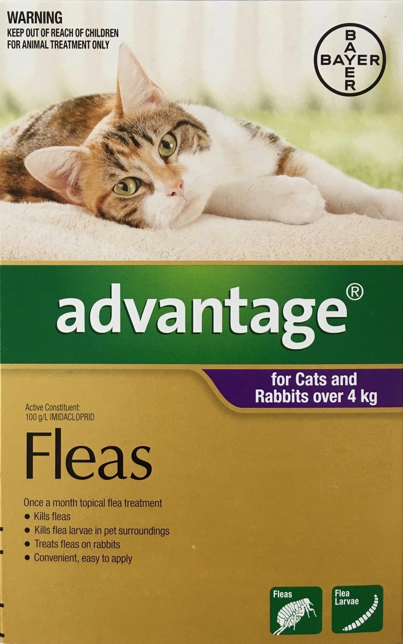advantage for cats 6 pack