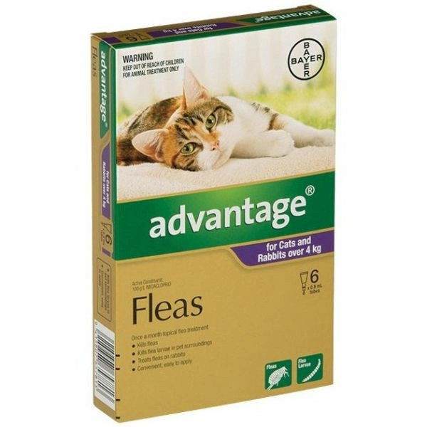 advantage for cats 6 pack