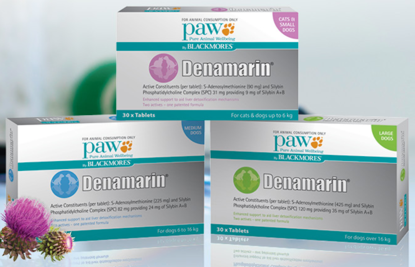 denamarin long term use