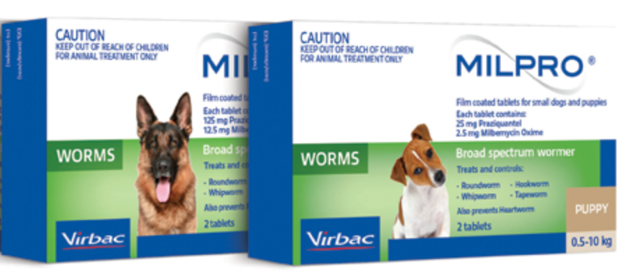 dog worming tablets milpro