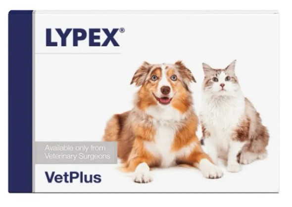 Lypex Capsules for Dogs and Cats – Digestive Enzyme Support

