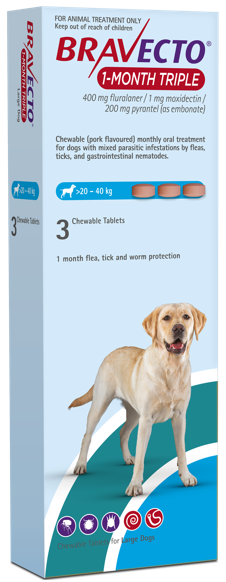 Bravecto 1-Month Triple Large 3 Pack for Dogs 20–40 kg