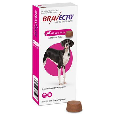 Bravecto chewable tablet for extra-large dogs over 40 kg