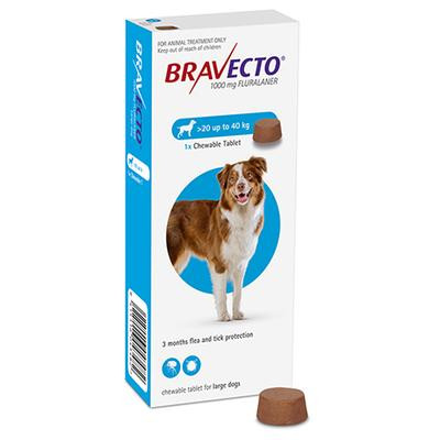 Bravecto chewable tablet for large dogs 20–40 kg