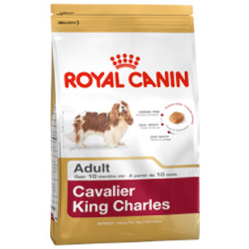 Royal Canin - Cavalier King Charles Adult