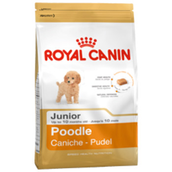Royal Canin - Poodle Junior