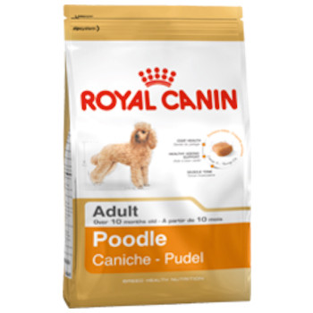 Royal Canin - Poodle Adult
