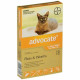 Advocate for Cats & Kittens under 4kg - 3 Pack