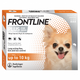 Small dog with Frontline Plus