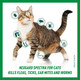 NexGard Spectra Spot-on Small Cats (0.8-2.4kg) - 3 Pack