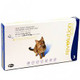 Revolution for Cats (2.6-7.5kg)
