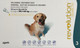 Revolution for Dogs (20-40kg)