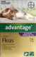 Advantage for Cats over 4kg - 4 pack