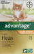 Advantage for Cats & Kittens Under 4kg - 4 pack