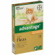 Advantage Spot-On flea drops for small cats up to 4kg