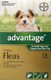 Advantage for Small Dogs under 4kg - 4 Pack