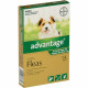 Advantage Spot-On for small dogs under 4kg