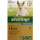 Advantage for Medium Dogs 4-10kg - 4 Pack