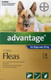 Advantage for XL Dogs over 25kg - 4 Pack