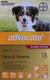 Advocate Spot-On for Large Dogs (10–25kg) – Flea & Worm Control