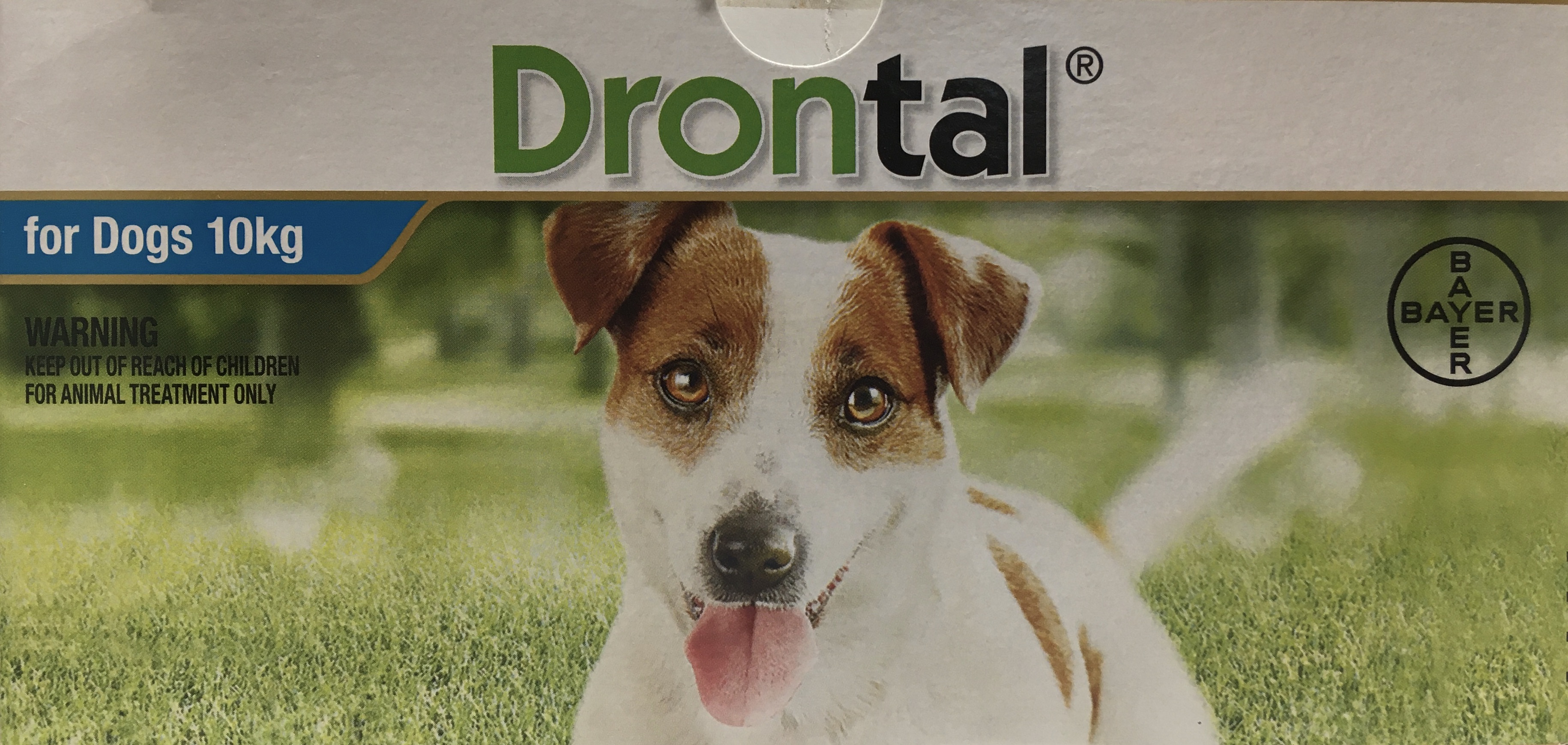 How Quickly Does Drontal Work In Dogs
